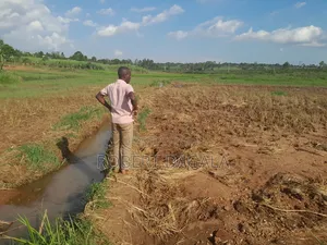 Seven Acres Near Mayuge Town