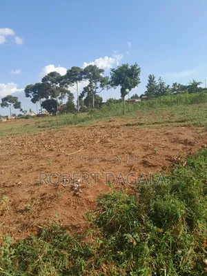 Seven Acres Near Mayuge Town