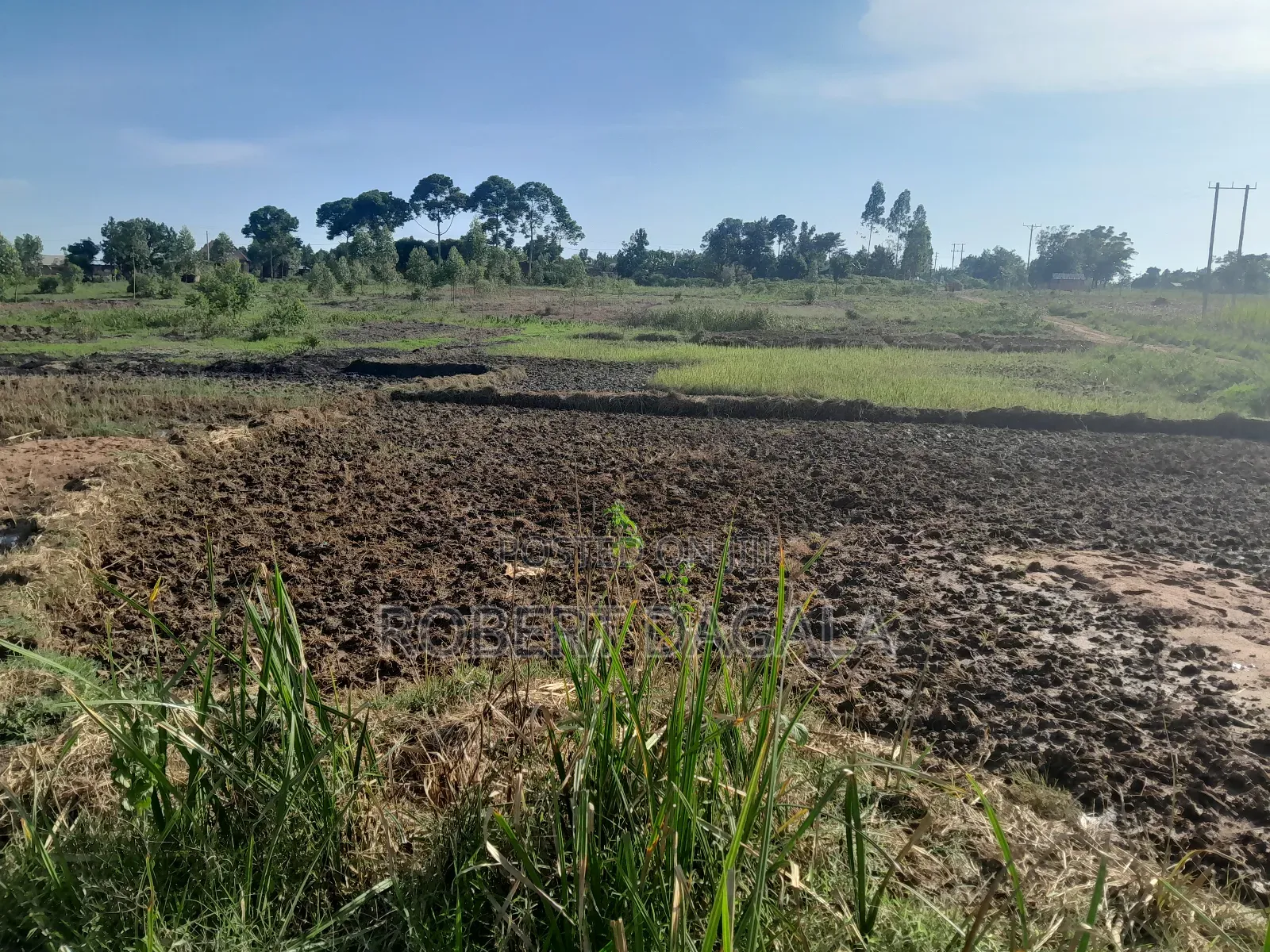 Seven Acres Near Mayuge Town