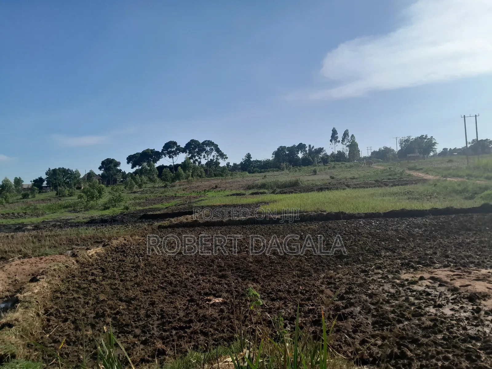 Seven Acres Near Mayuge Town