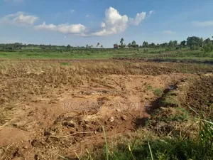 Seven Acres Near Mayuge Town