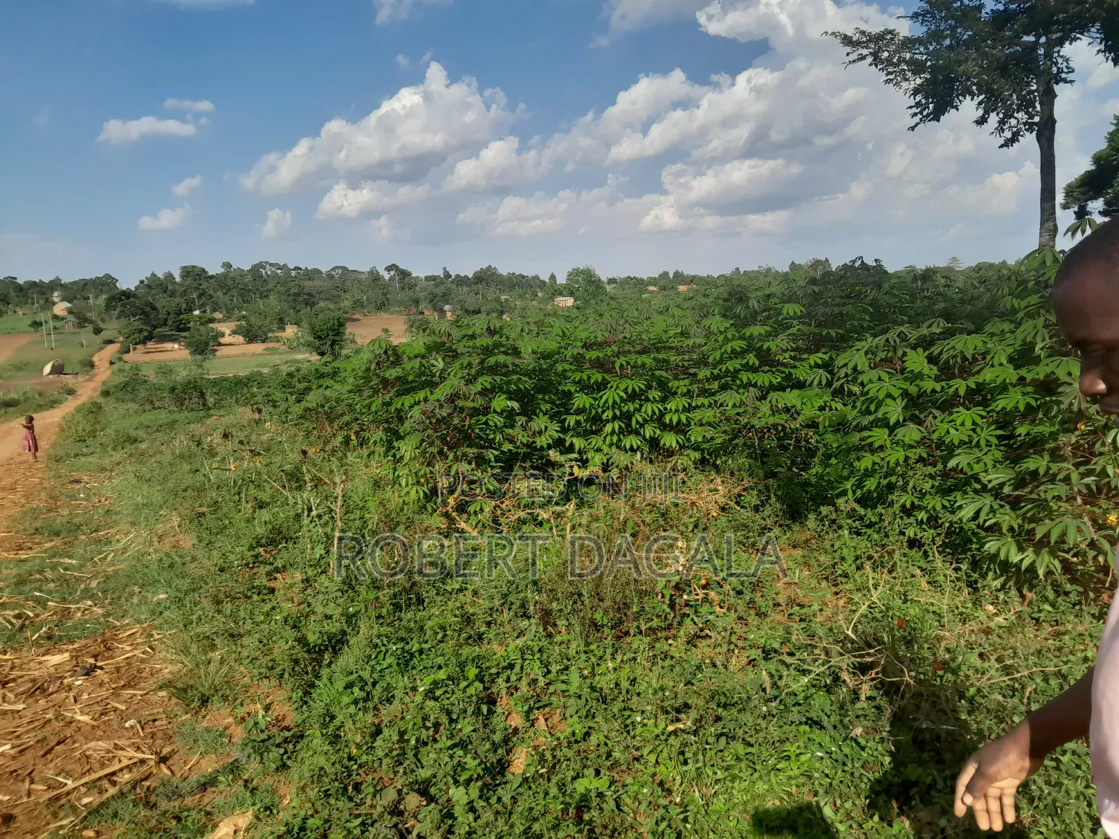 Seven Acres Near Mayuge Town
