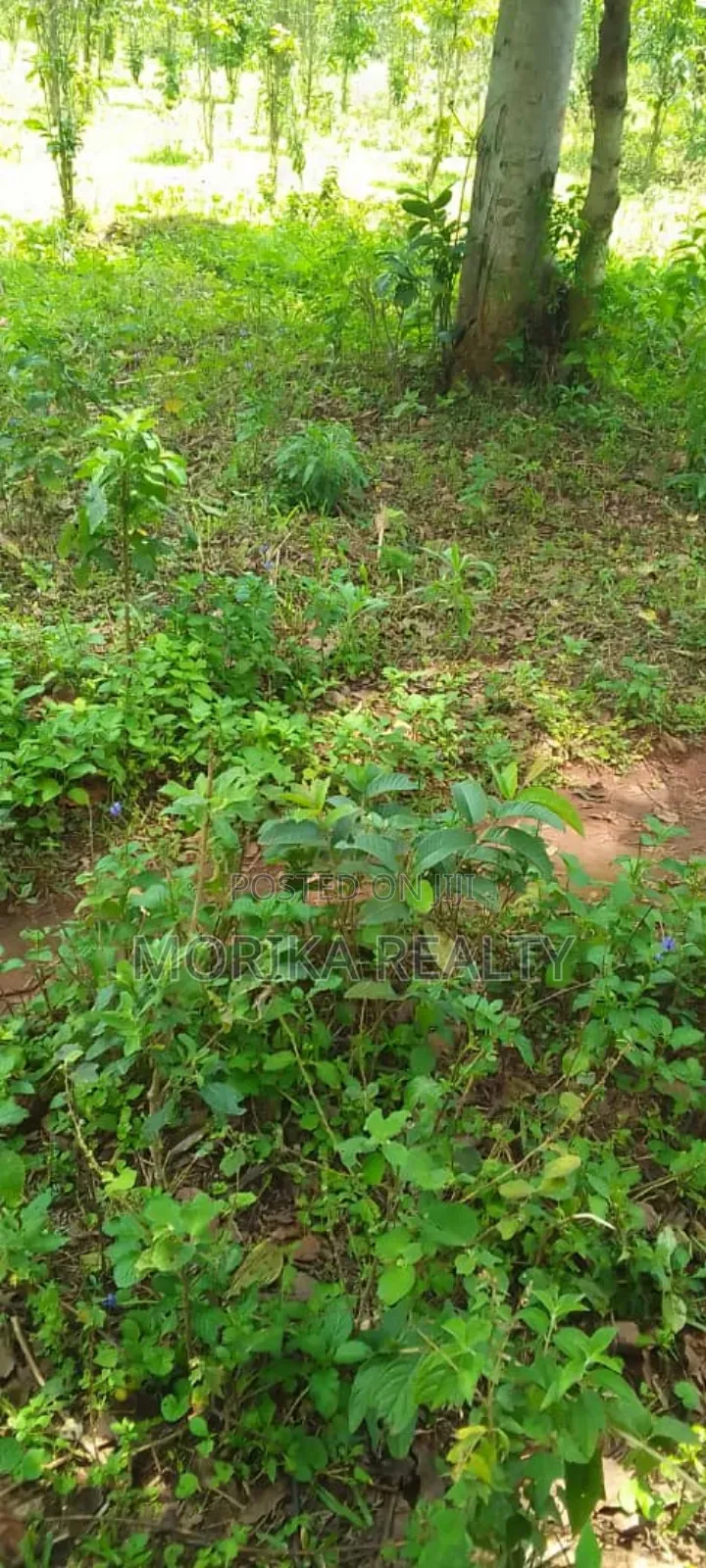 Plot At Tanda Mityana Road Kabule Town