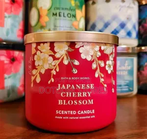 Bath Body Works 3-Wick Candle