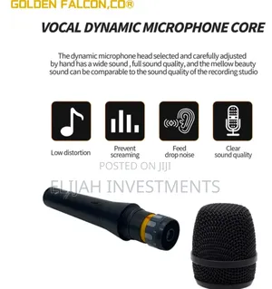 High Quality Metallic Vocals Microphone