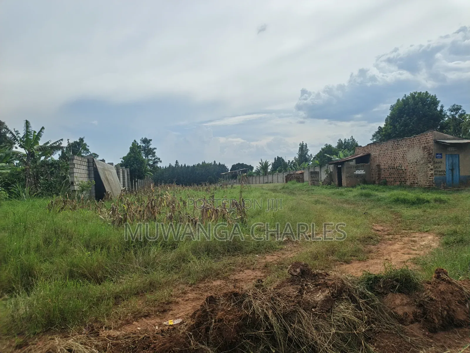 5acres Land on Quick Sale in Kalule Bombo Road