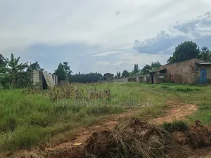 5acres Land on Quick Sale in Kalule Bombo Road