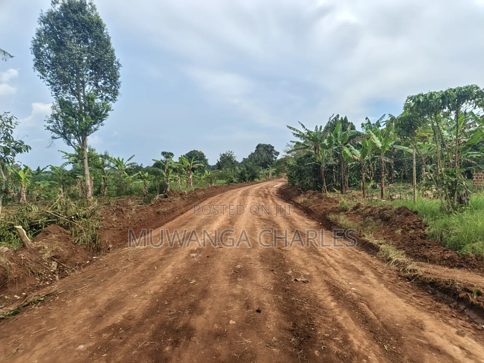 5acres Land on Quick Sale in Kalule Bombo Road