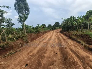 5acres Land on Quick Sale in Kalule Bombo Road