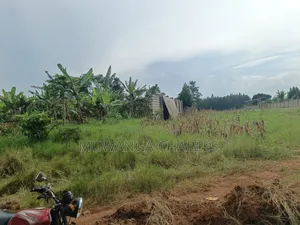 5acres Land on Quick Sale in Kalule Bombo Road
