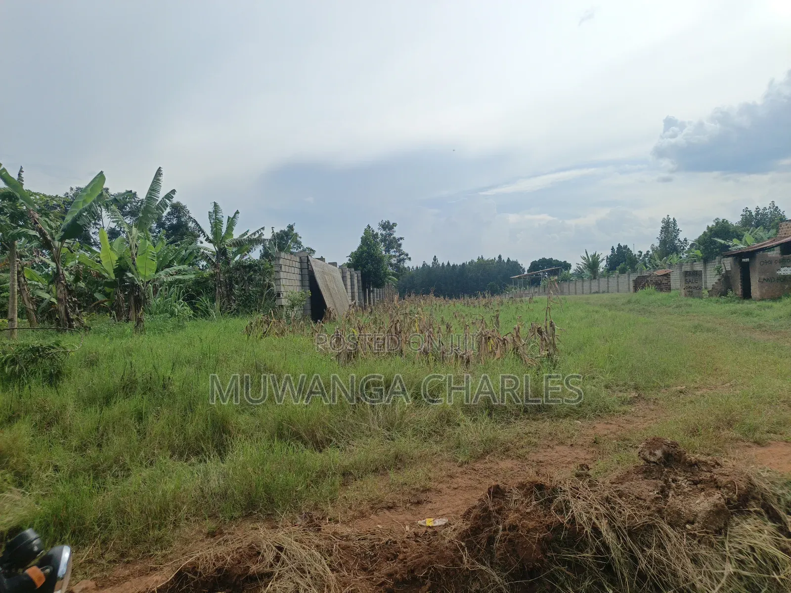 5acres Land on Quick Sale in Kalule Bombo Road