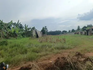 5acres Land on Quick Sale in Kalule Bombo Road