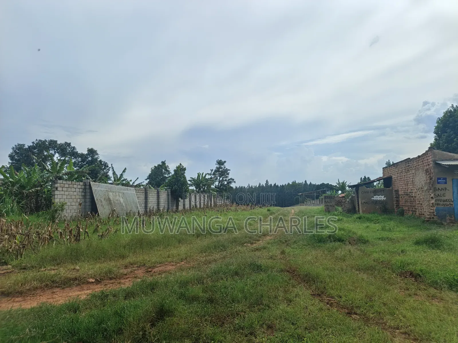 5acres Land on Quick Sale in Kalule Bombo Road
