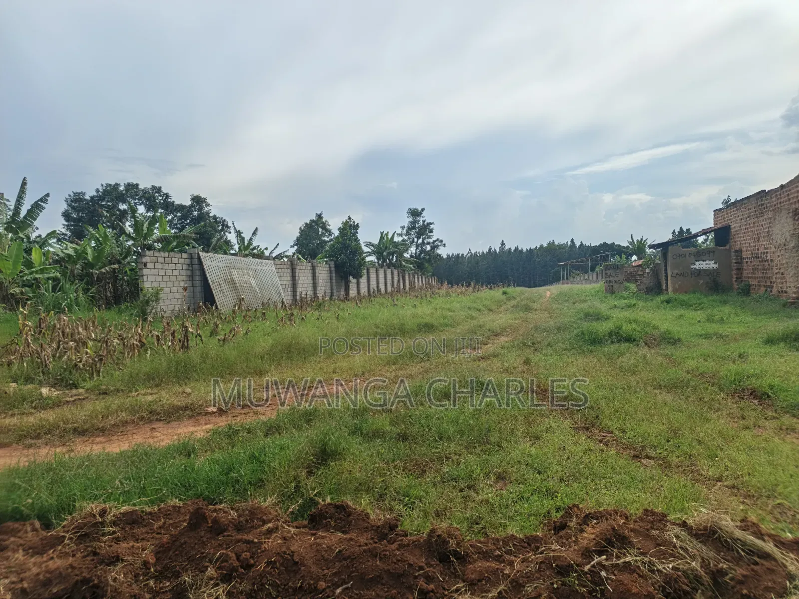 5acres Land on Quick Sale in Kalule Bombo Road