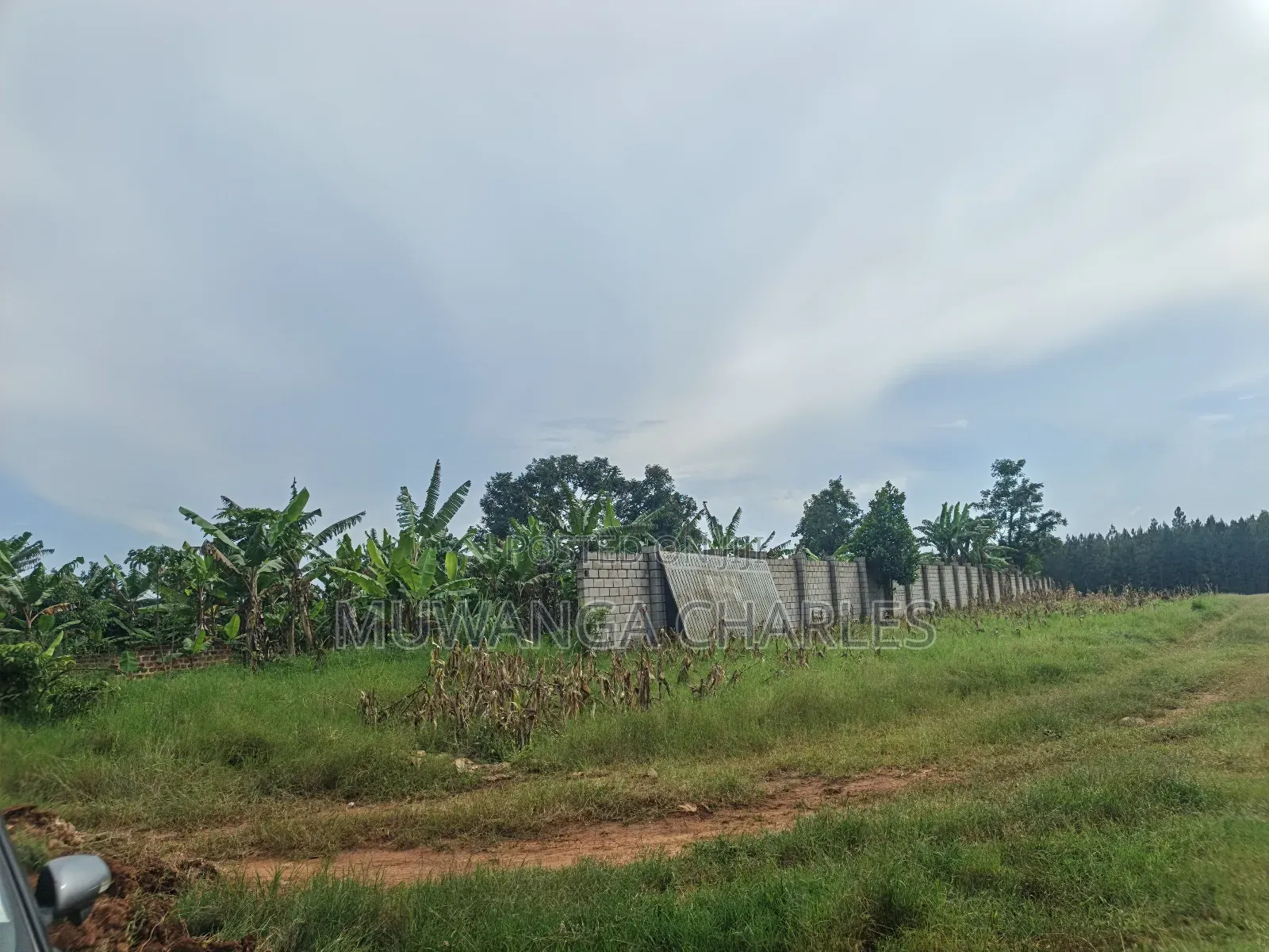 5acres Land on Quick Sale in Kalule Bombo Road