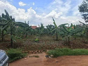 45dcimals Onon Sale in Kisaasi