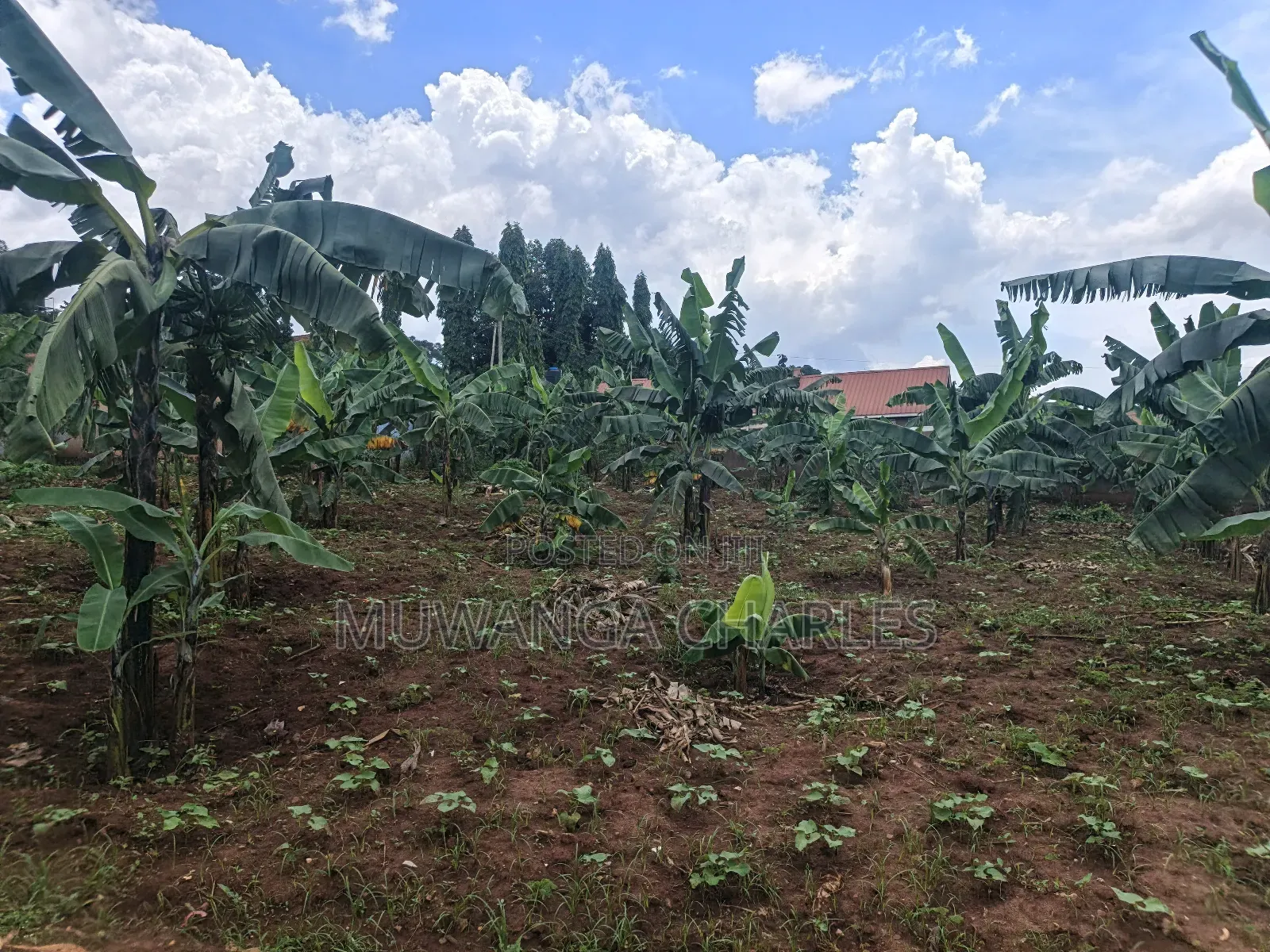45dcimals Onon Sale in Kisaasi