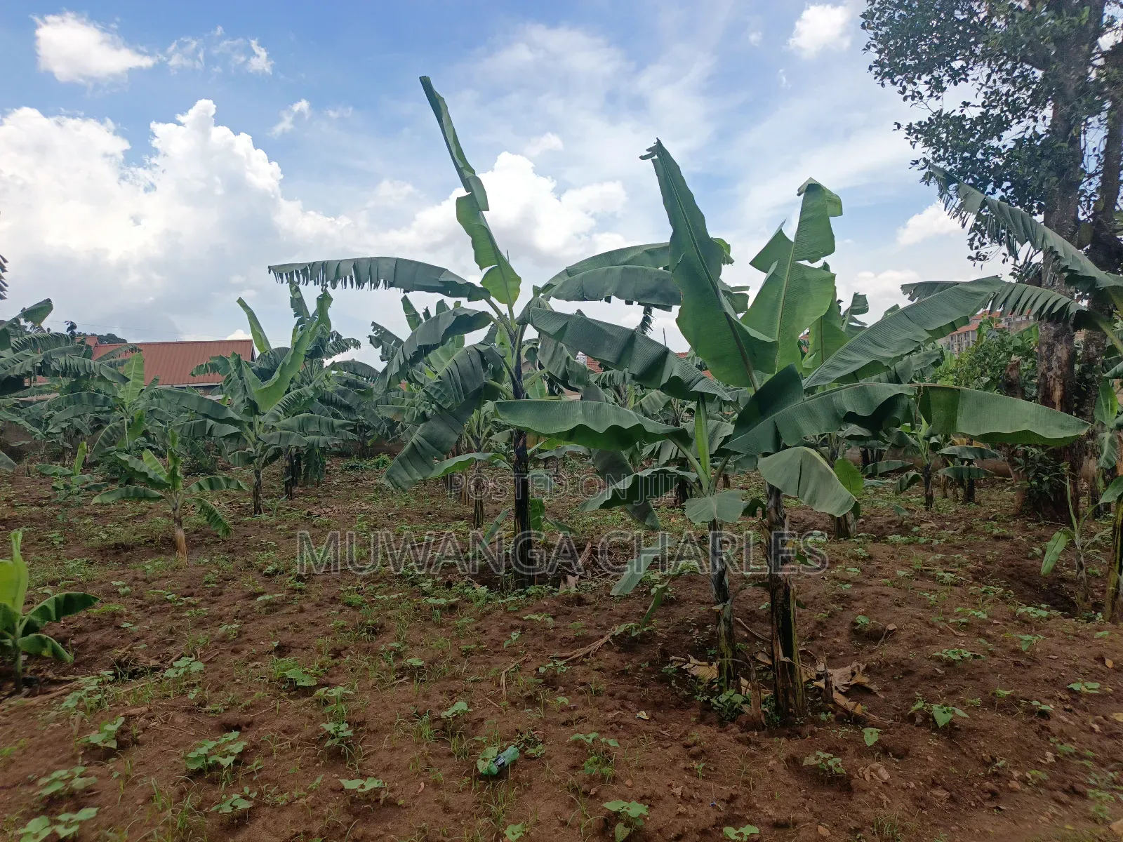 45dcimals Onon Sale in Kisaasi