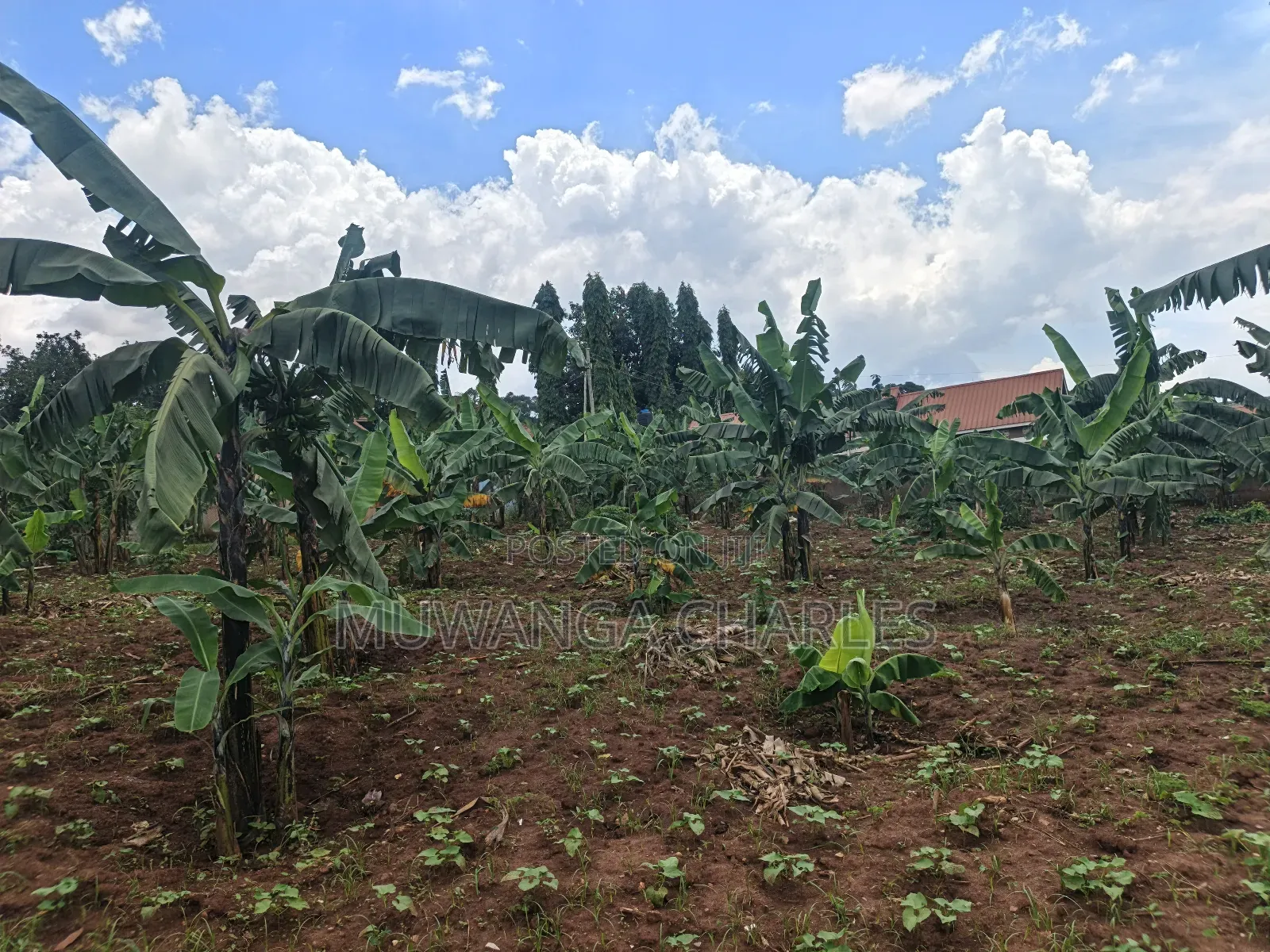 45dcimals Onon Sale in Kisaasi