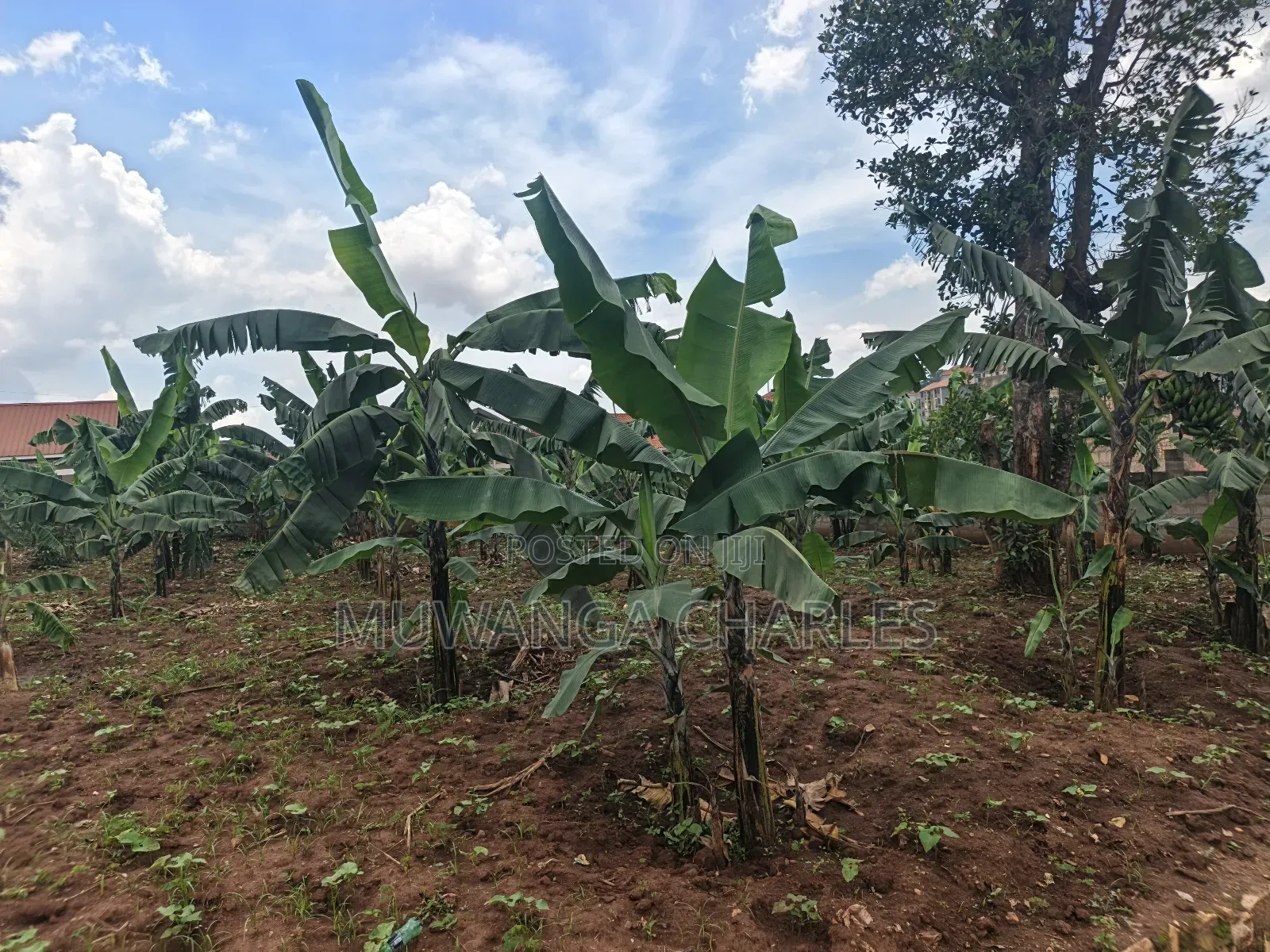 45dcimals Onon Sale in Kisaasi
