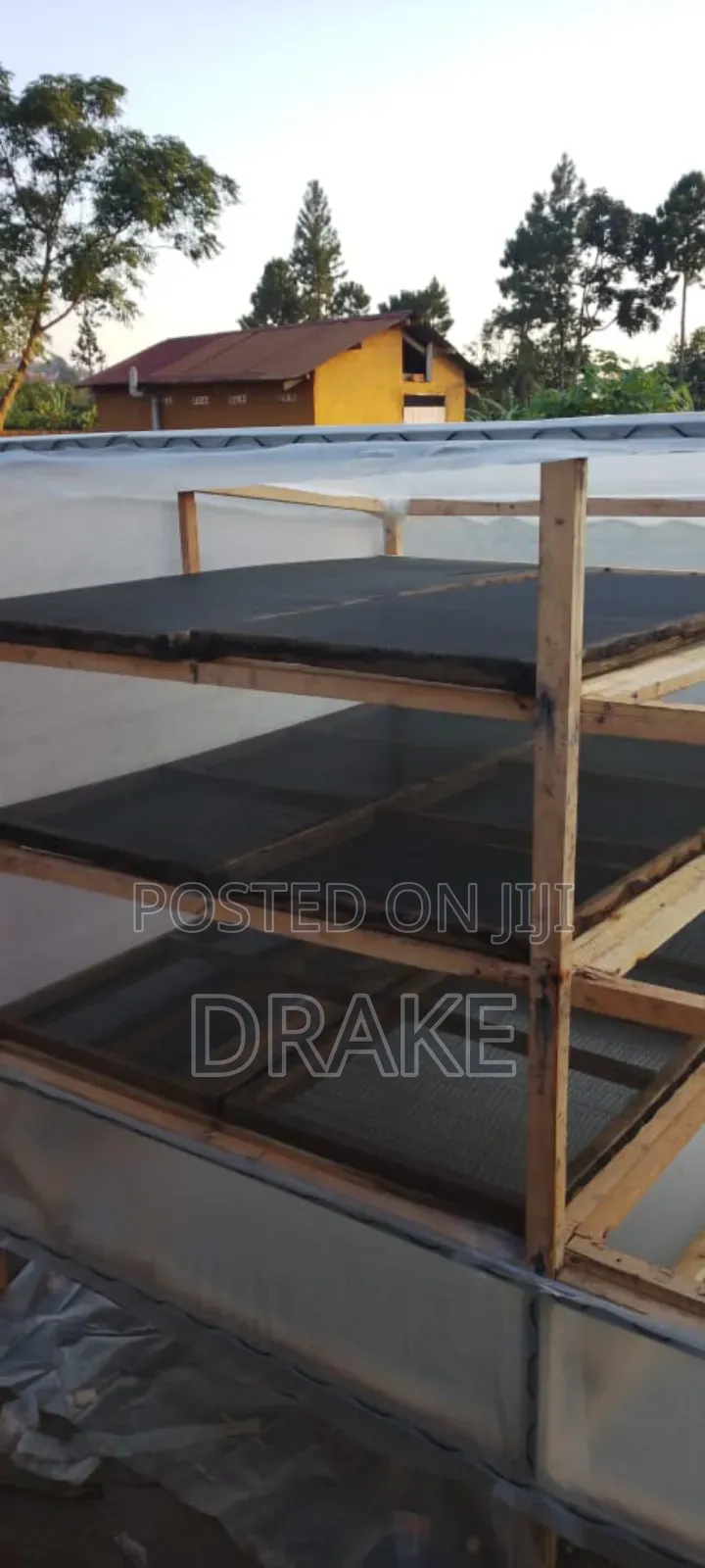 Solar Dryer
