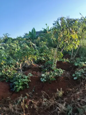 Lpot 4 Sale in Bwerenga Bugiri Kawuku Entebbe Rd With Land Title