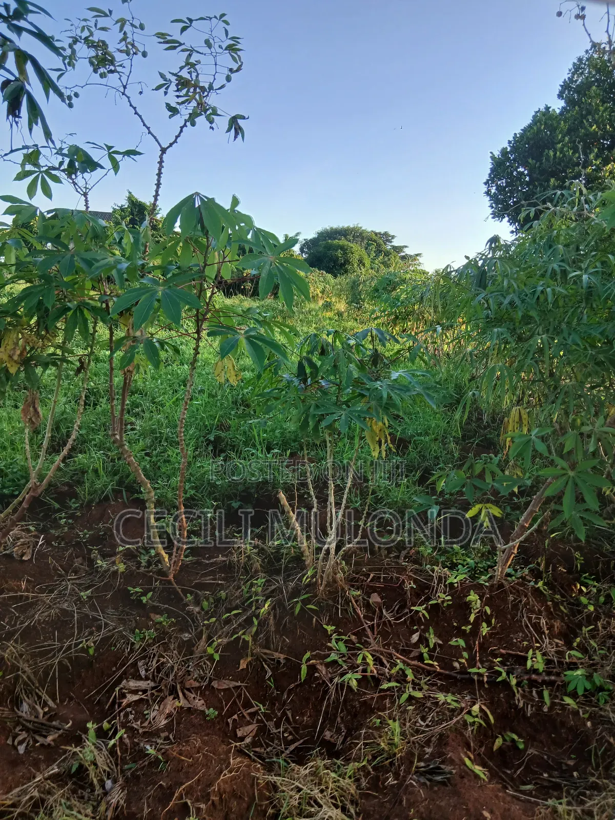 Modular Enviroment Plot in Bwerenga Entebbe Rd