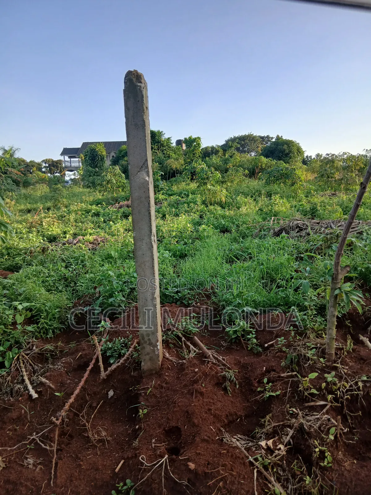 Modular 100 by 100 Plot in Bwerenga Kawuku