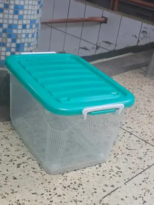 Plastic Storage Boxes Plastic Storage Boxes With Colored Cover