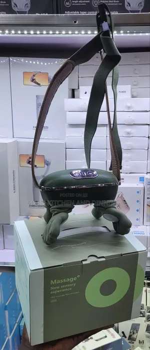 Electronic Massager