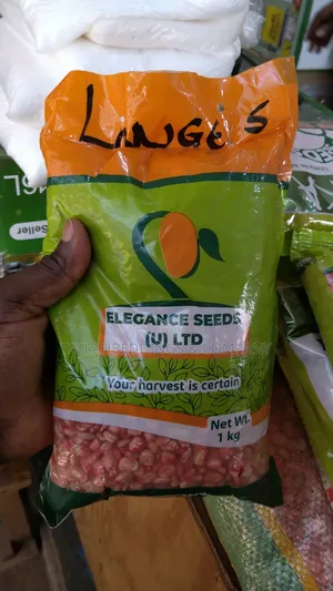 Lange Superior Hybrid And Improved Maize Seeds 1kg