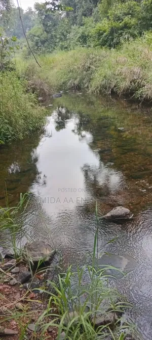 Farm Land for Sale in Amuru