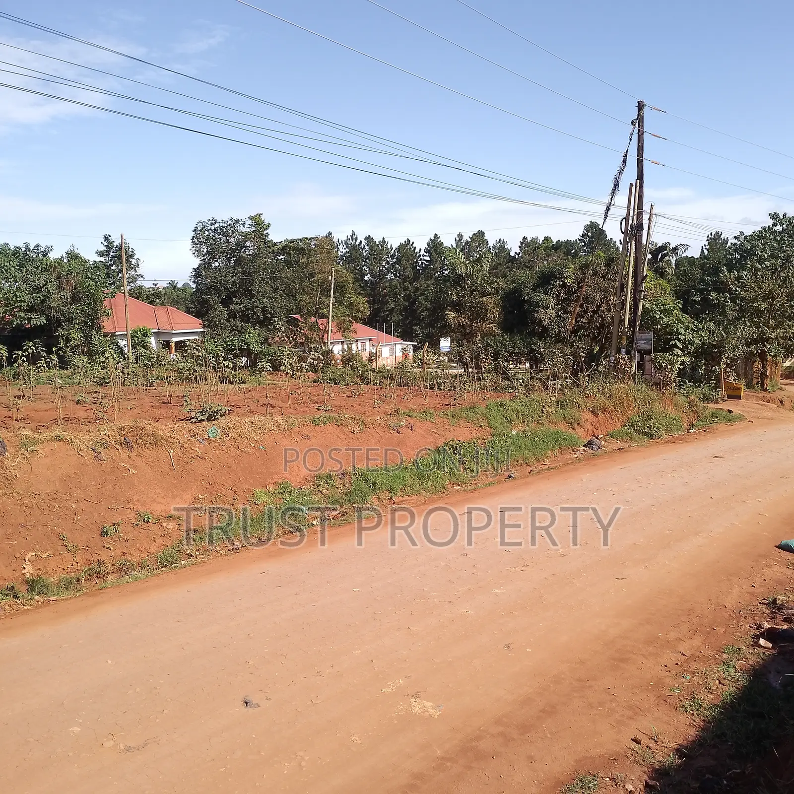 Plot and Land for Sale