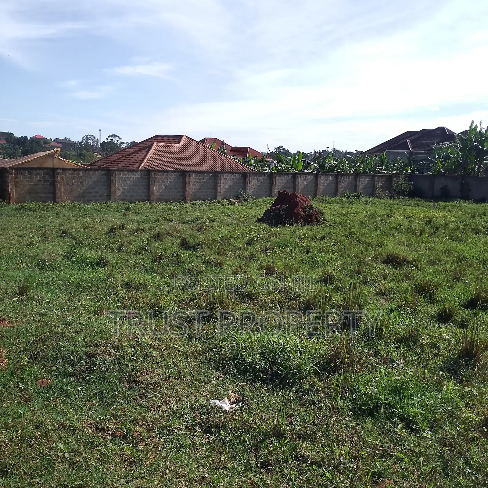 Plot and Land for Sale