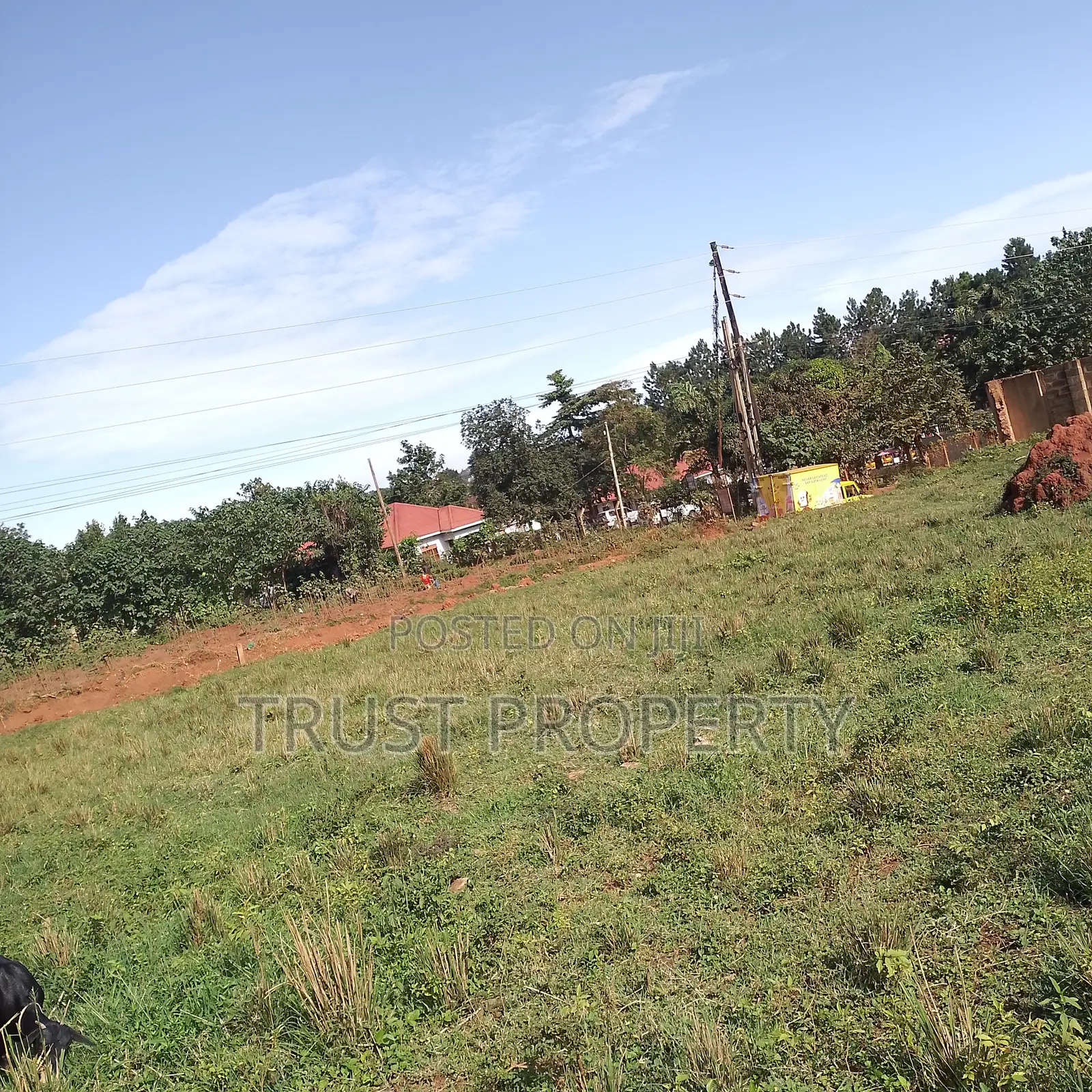 Plot and Land for Sale