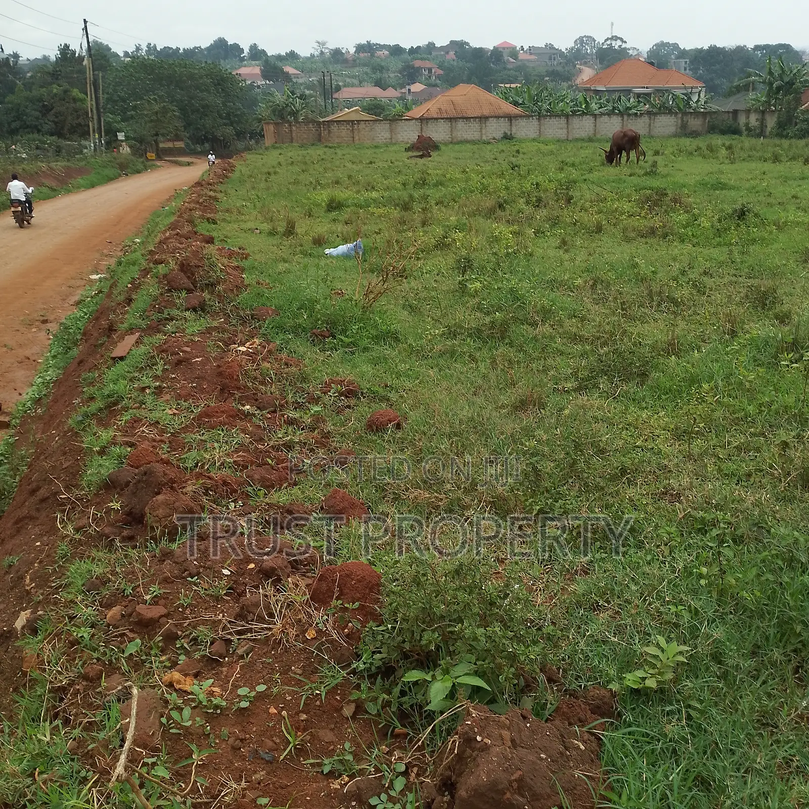 Plot and Land for Sale
