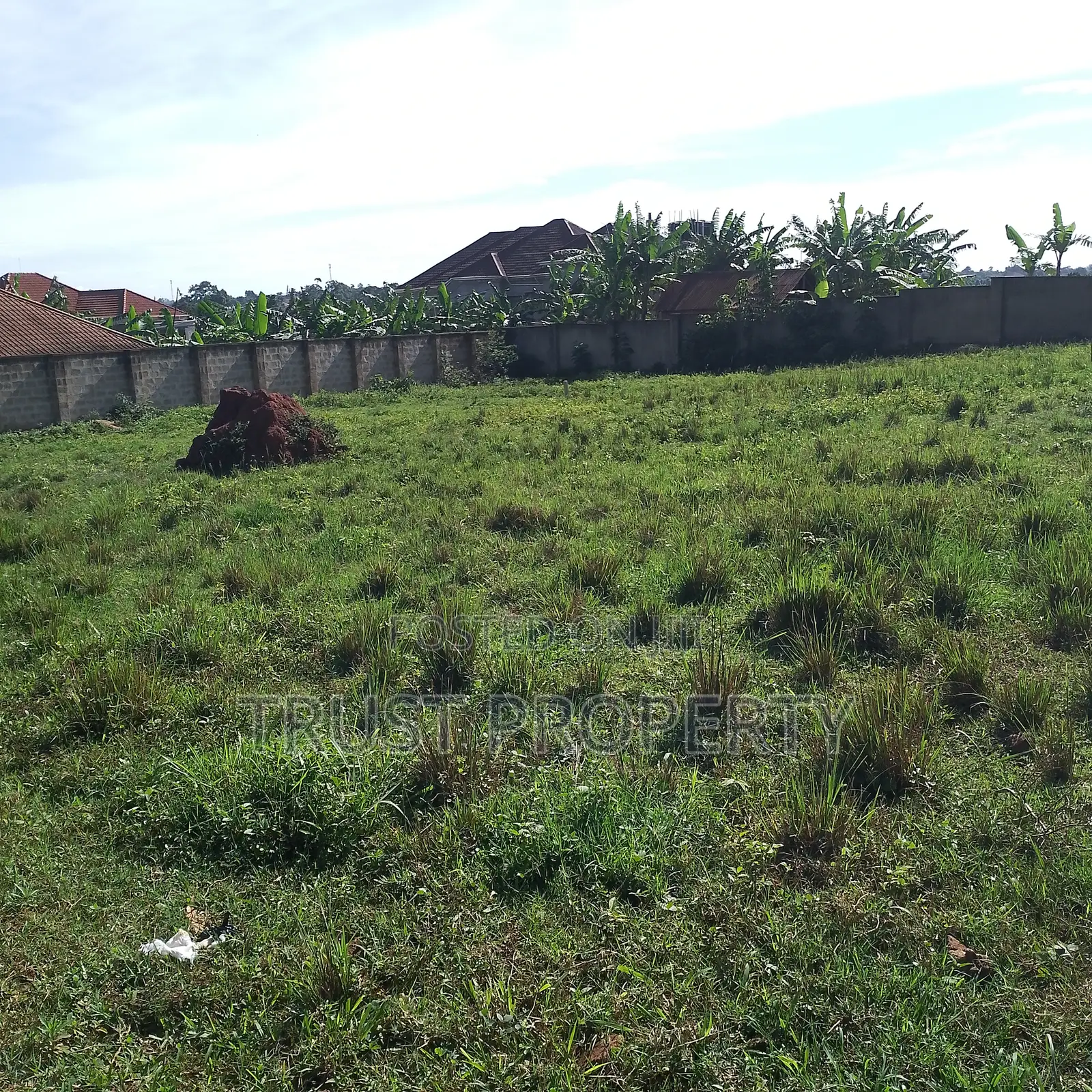 Plot and Land for Sale