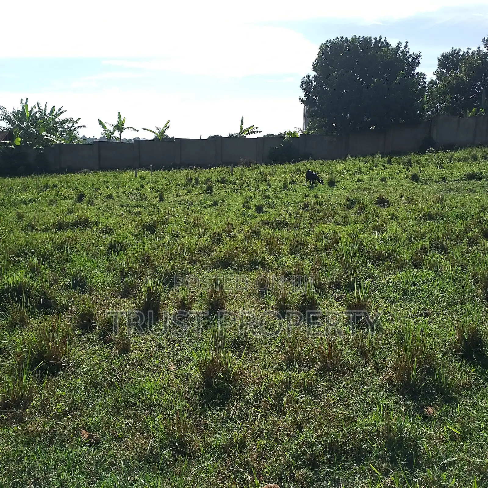 Plot and Land for Sale