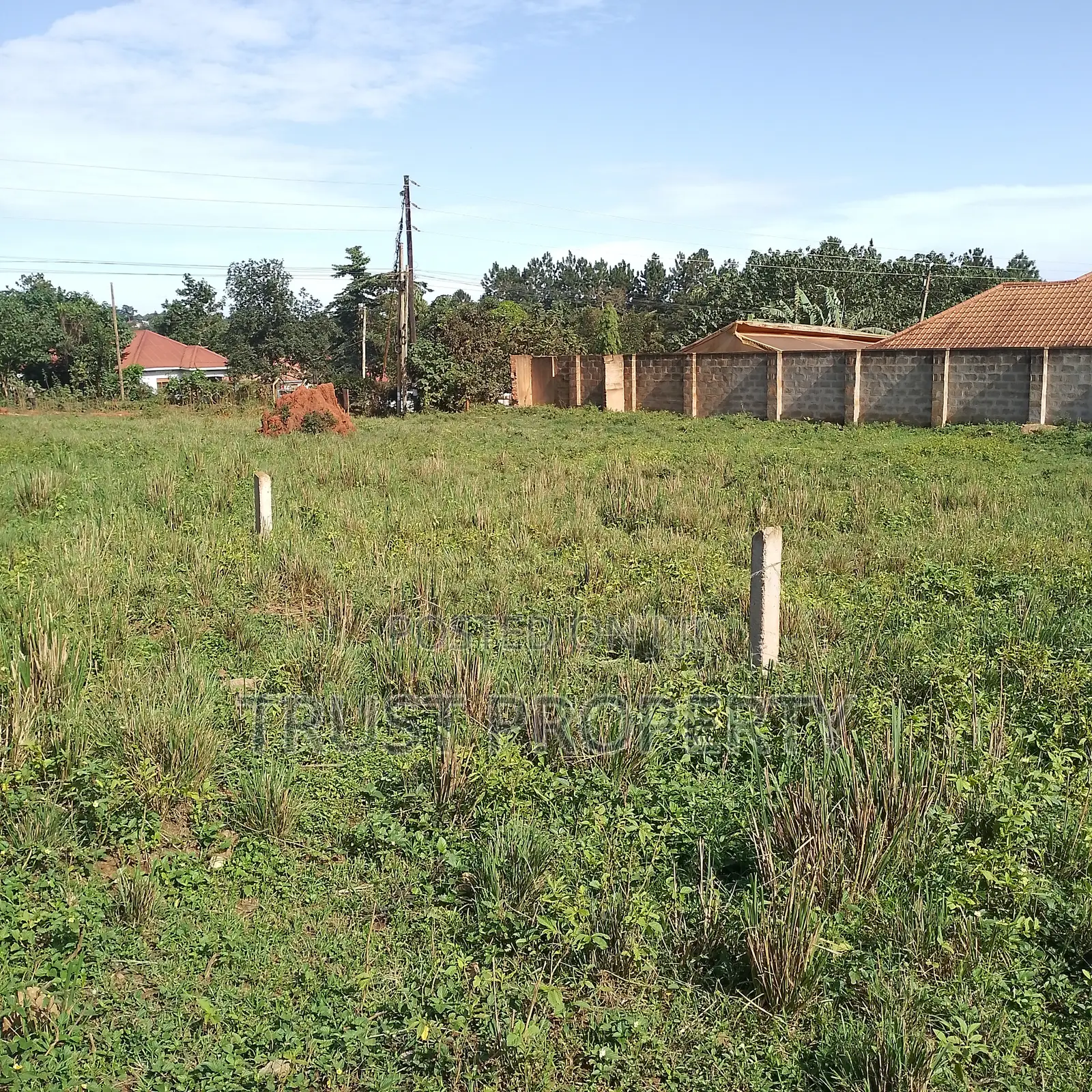 Plot and Land for Sale