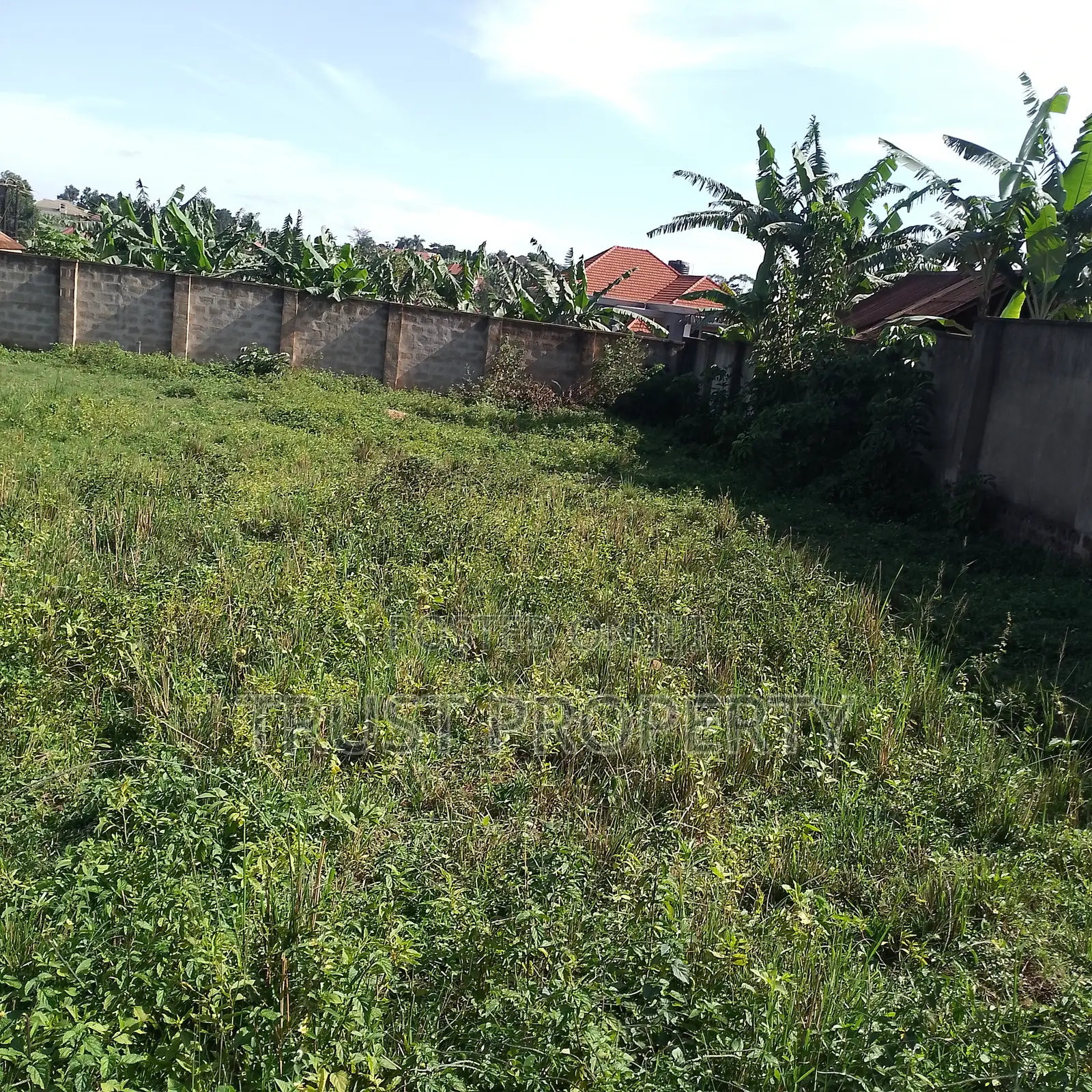 Plot and Land for Sale