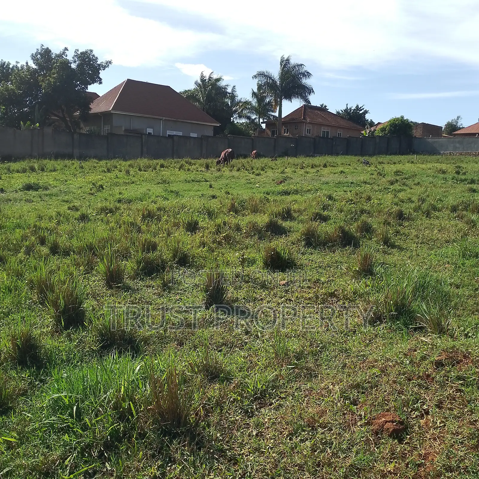 Plot and Land for Sale