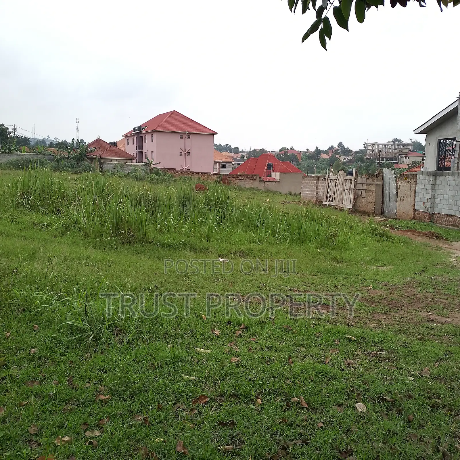 Plots and Land for Sale