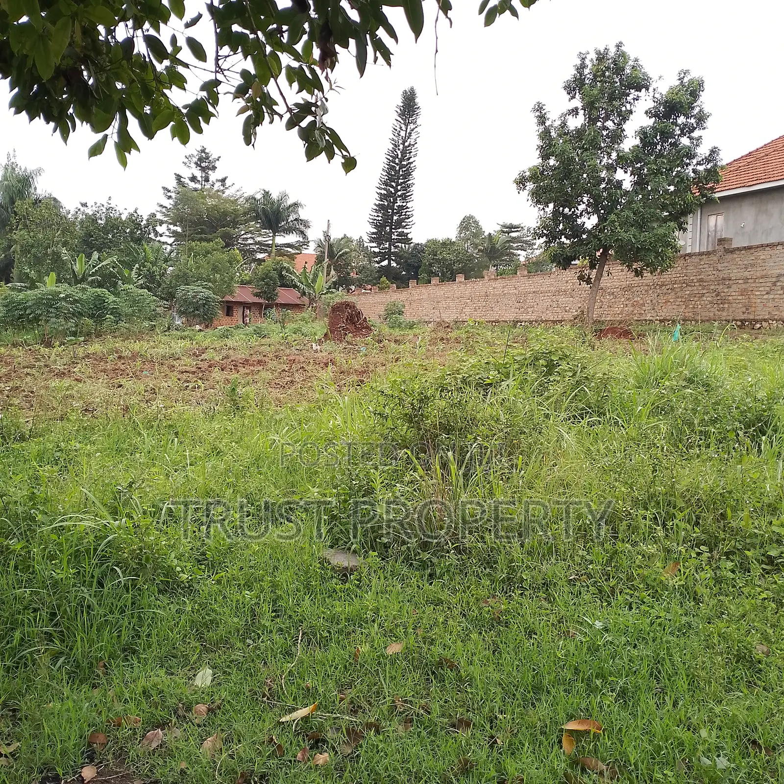 Plots and Land for Sale