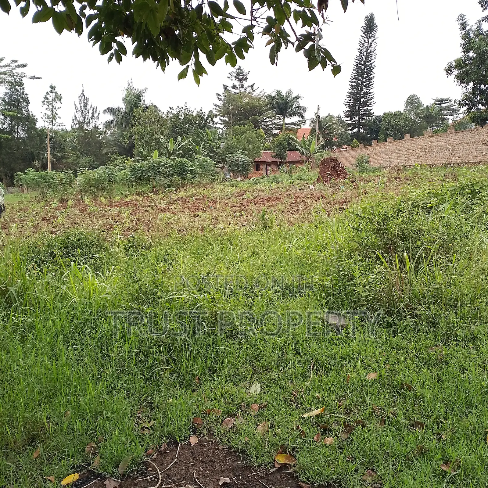 Plots and Land for Sale