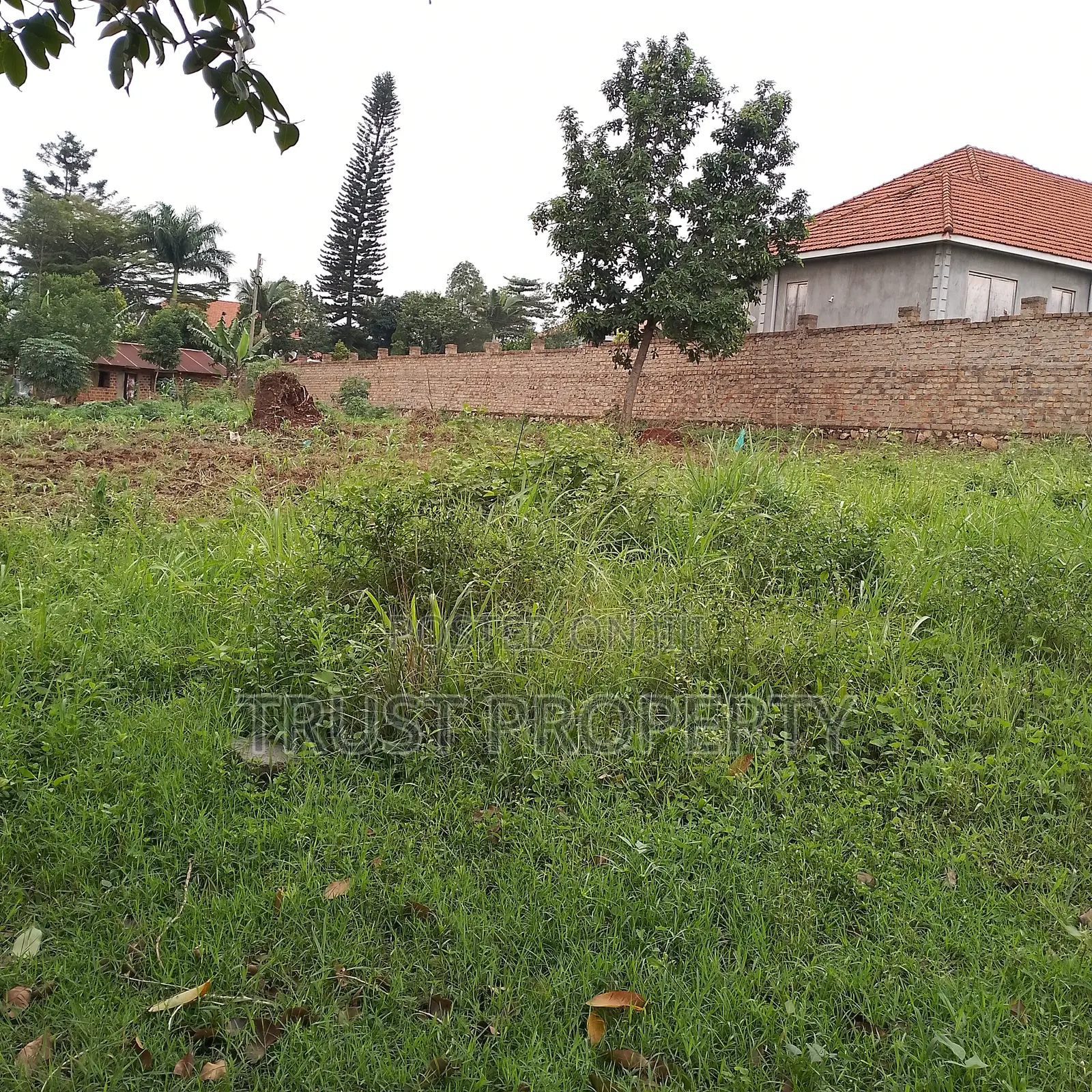 Plots and Land for Sale