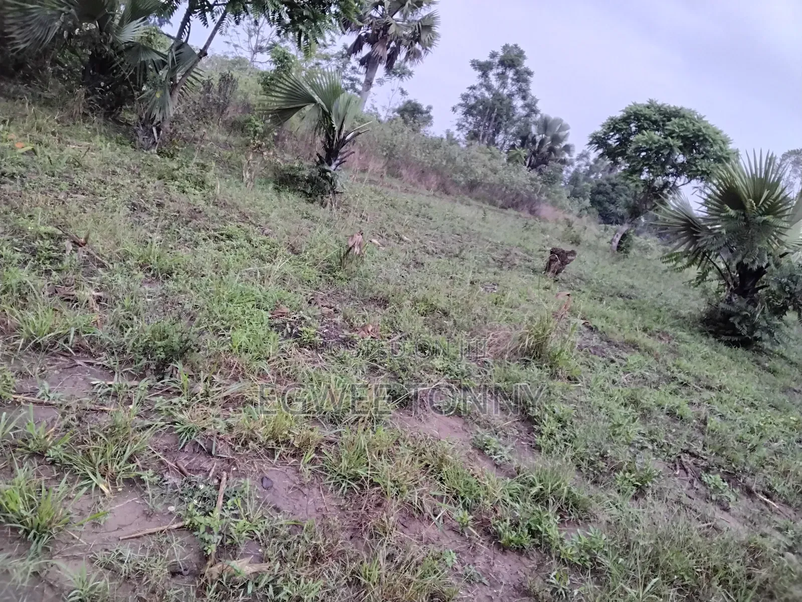 1 Full Acre of Land on Quick Sale in Lira City