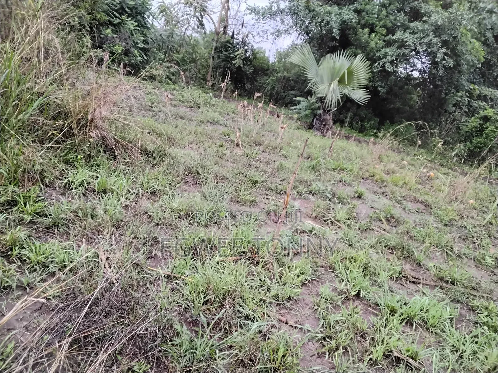 1 Full Acre of Land on Quick Sale in Lira City