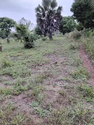 1 Full Acre of Land on Quick Sale in Lira City
