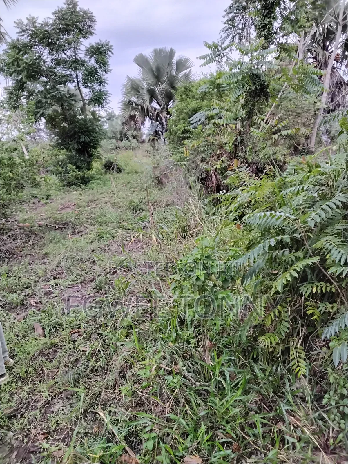 1 Full Acre of Land on Quick Sale in Lira City
