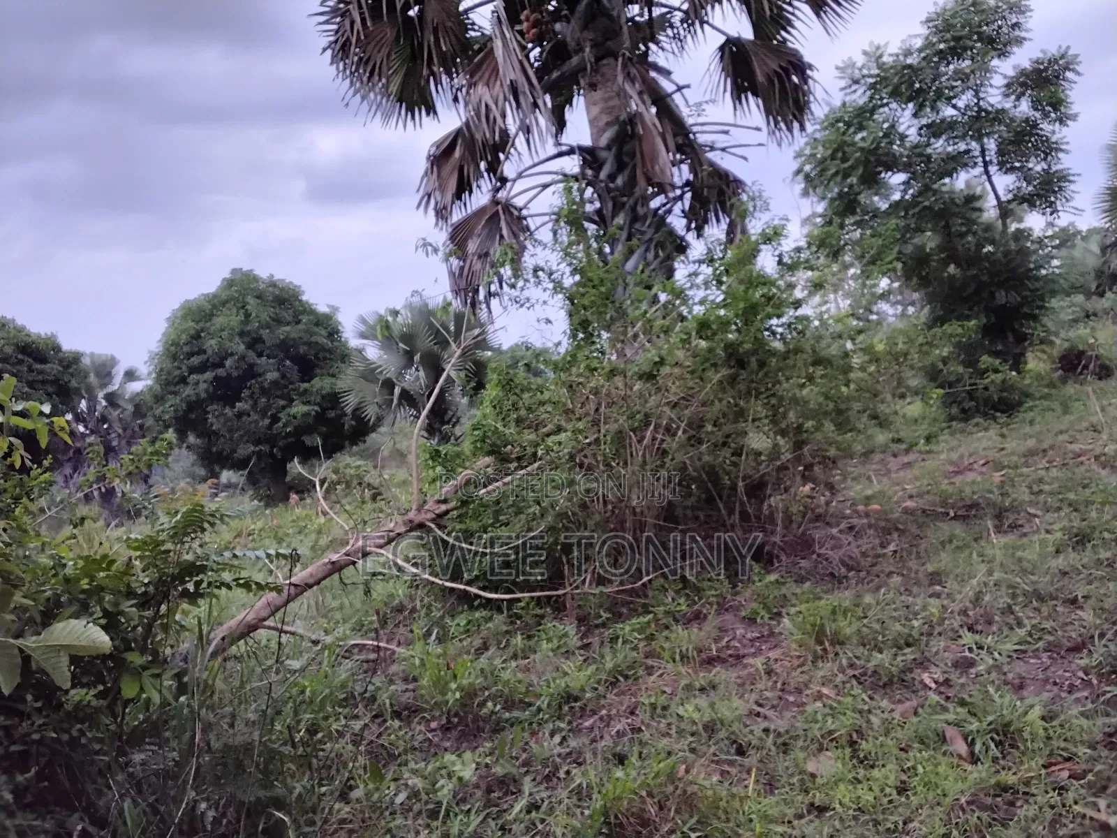 1 Full Acre of Land on Quick Sale in Lira City